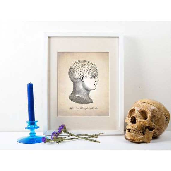 5” x 7” Phrenology Art Print for wholesale by The National Anthem