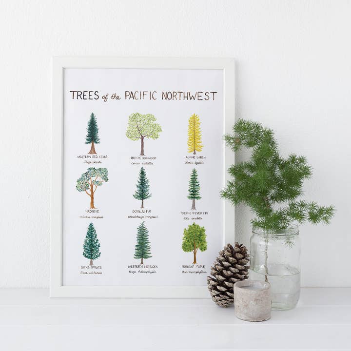 Yardia - Wholesale Art Print - Pacific Northwest Trees - 11” x 14” Watercolor Art Print2