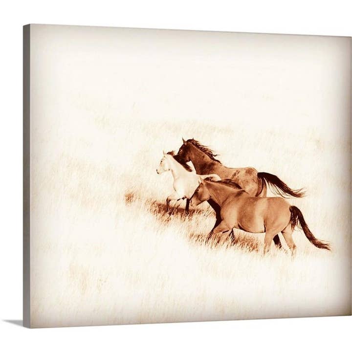 Prairie Wild Canvas Print for wholesale by Amanda Smith Western Art, LLC