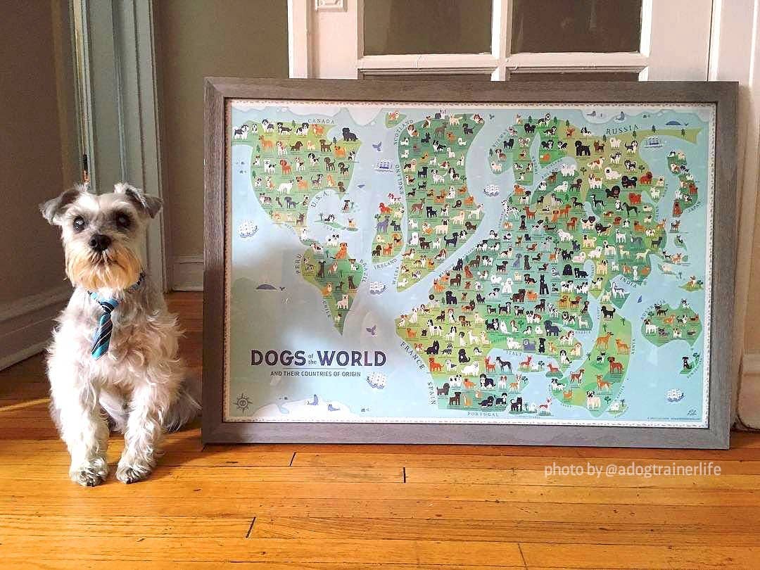 Lili Chin Art - Wholesale Poster - 36'' x 24'' Dogs of the World Map Poster3
