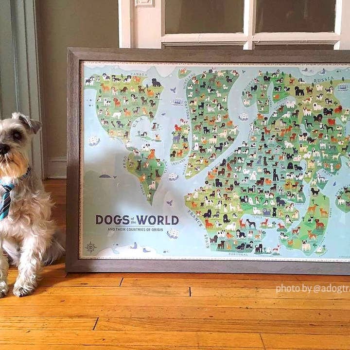 Lili Chin Art - Wholesale Poster - 36'' x 24'' Dogs of the World Map Poster3