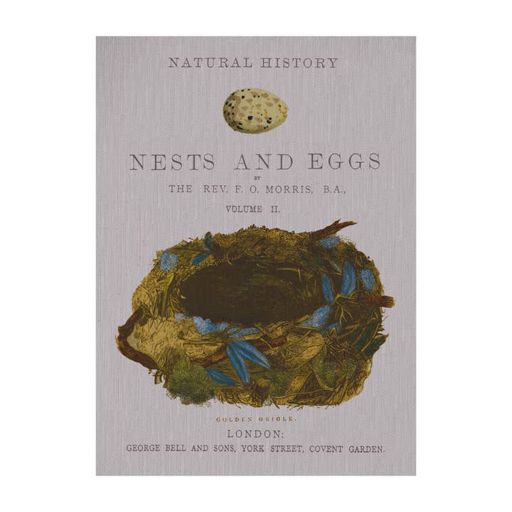 Nest and Feathers Fabric Gallery Wrapped Wall Art for wholesale by SPLASHWORKS