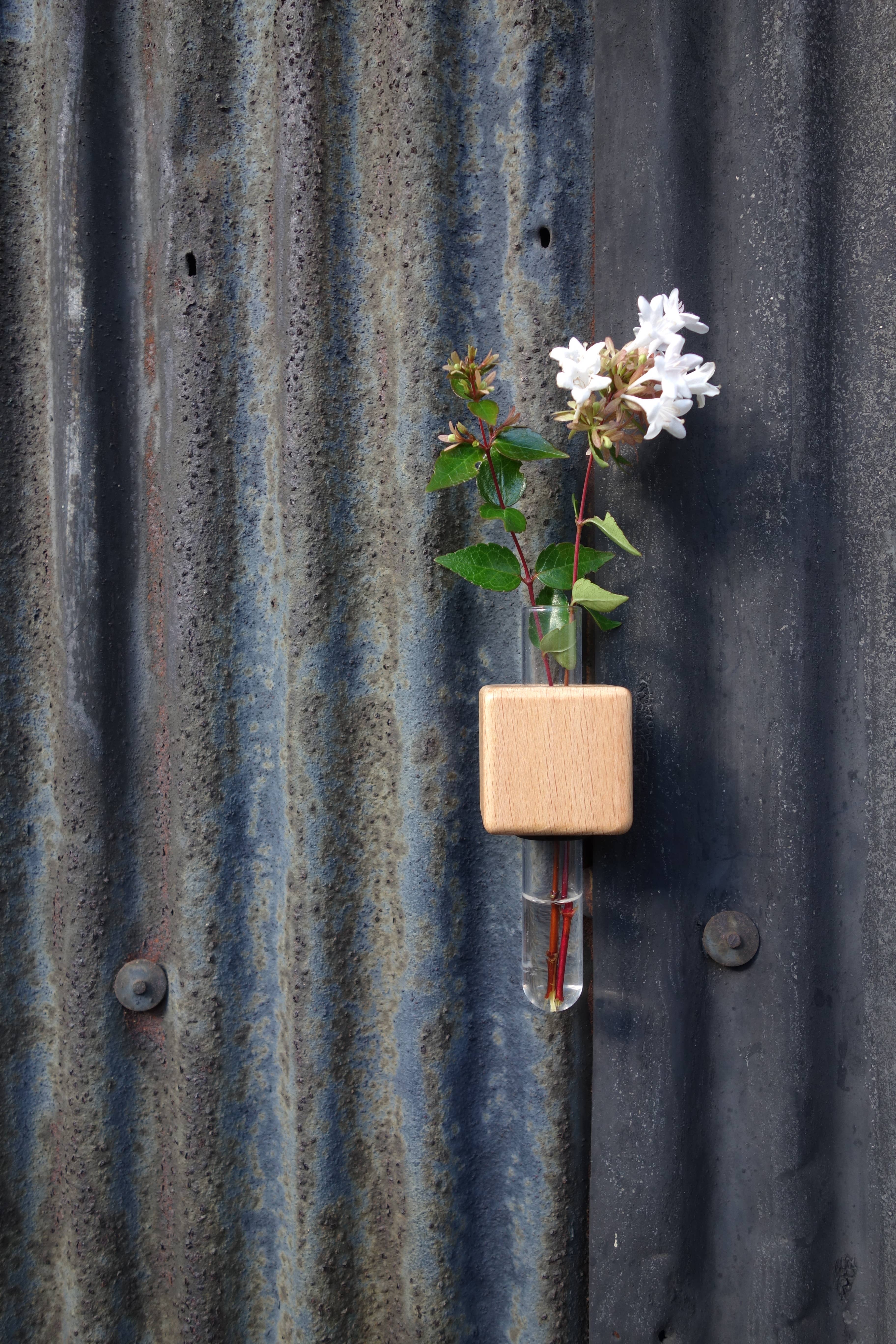 FUNNYFISH - Wholesale Vaas - Smart Magnet Vaas - Kubussen (Gemengd, set van 3)2